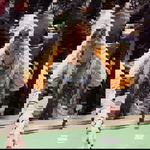 Winter Divisional Championship 20230326 0009