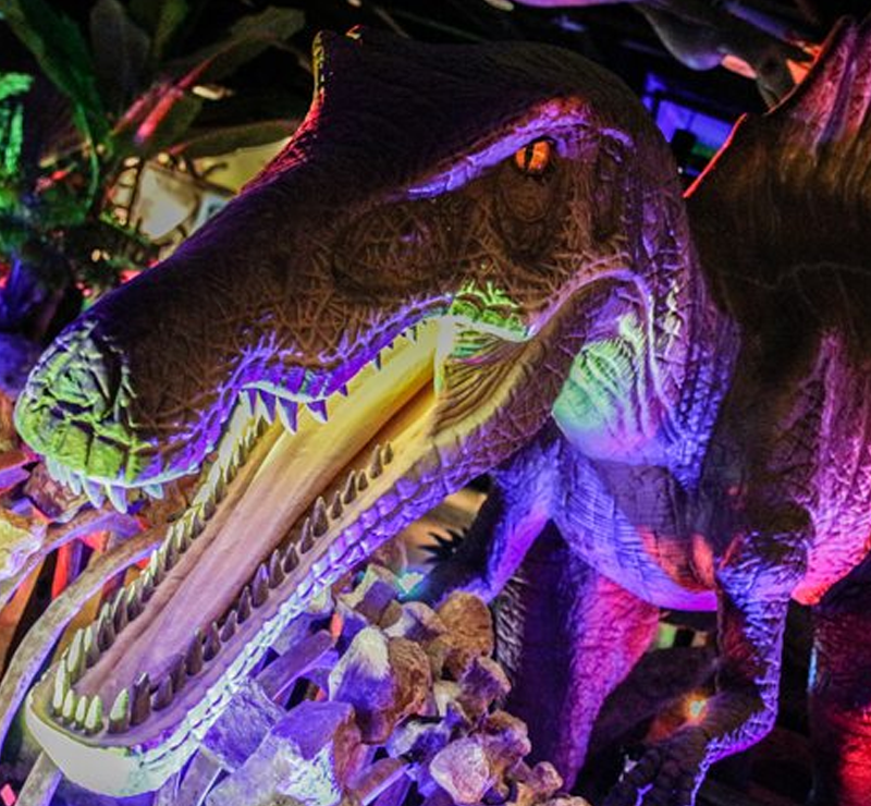 dinosaur on display at pangaea